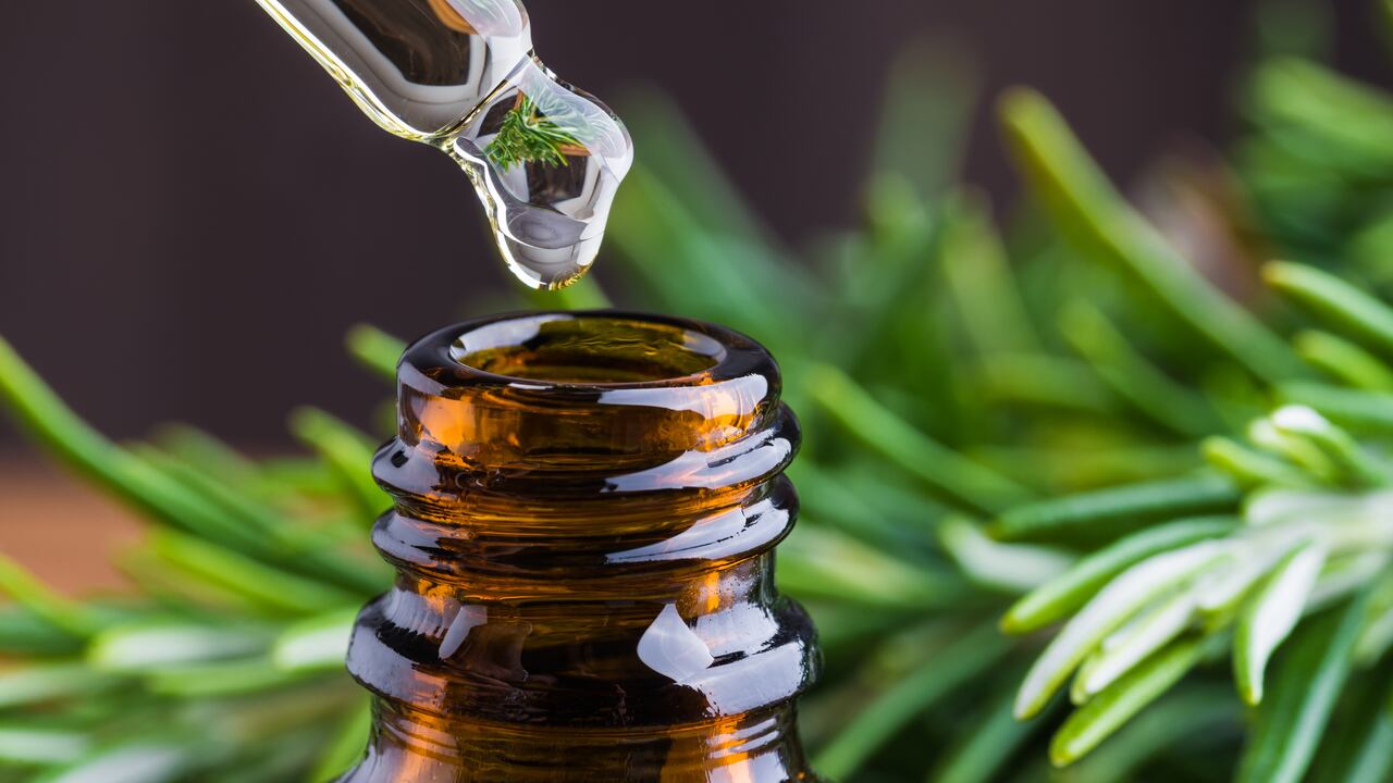 Desde la estimulación del crecimiento hasta la prevención de la caspa, se desglosarán los múltiples beneficios de este elixir herbal para el cabello.