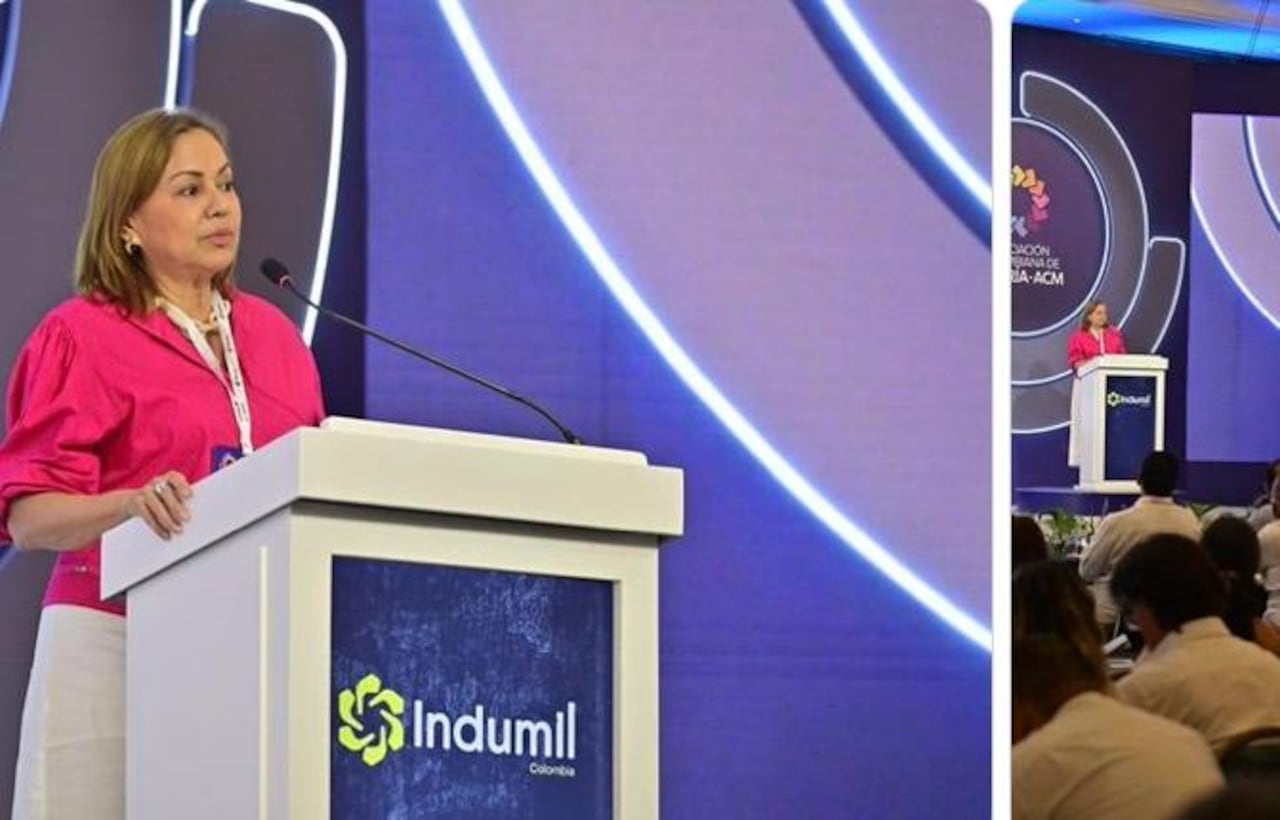 La ministra de Minas y Energía, María Nohemí Arboleda, confirmó la derogación de 10 resoluciones que delimitaban los distritos mineros.