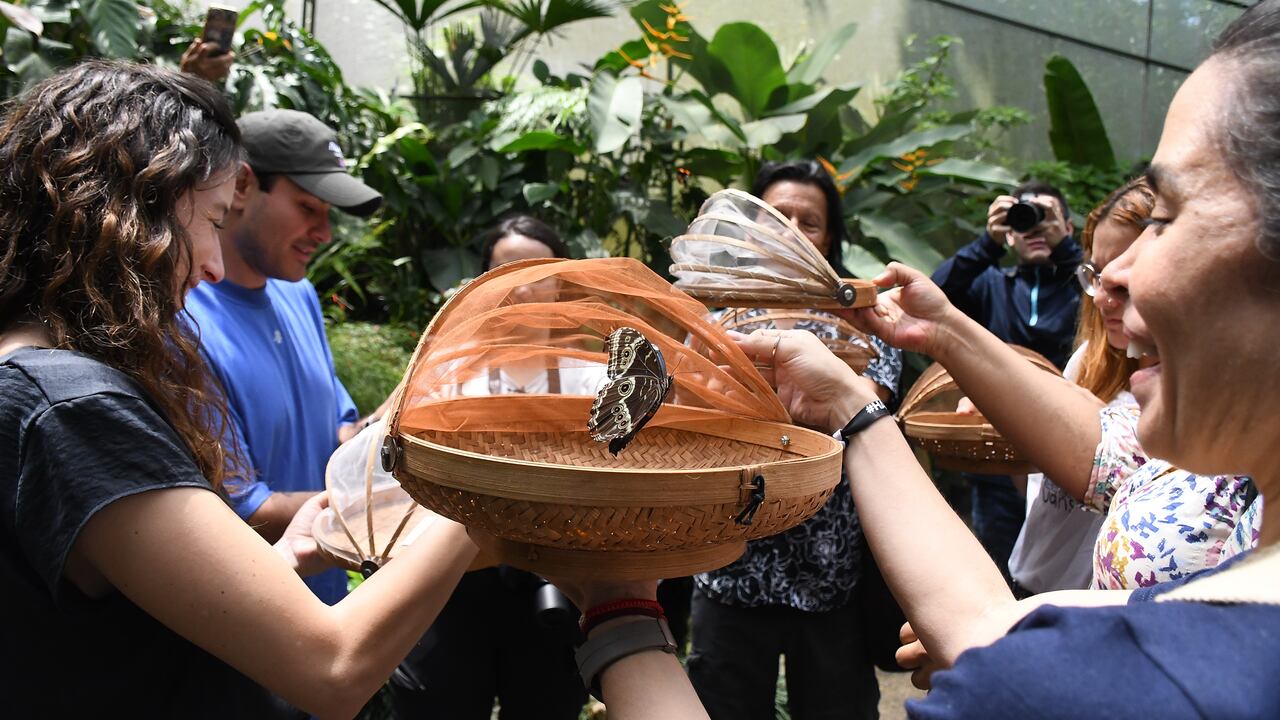 Cali: Recorrido por sitios de turismo regenerativo, COP16. El País