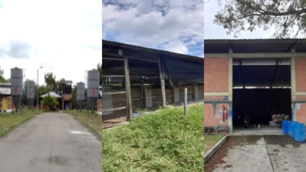 La SAE denuncia hallazgo de más de 20 toneladas de ácido
clorhídrico en predio extinto al narcotraficante “Pacho
Herrera”