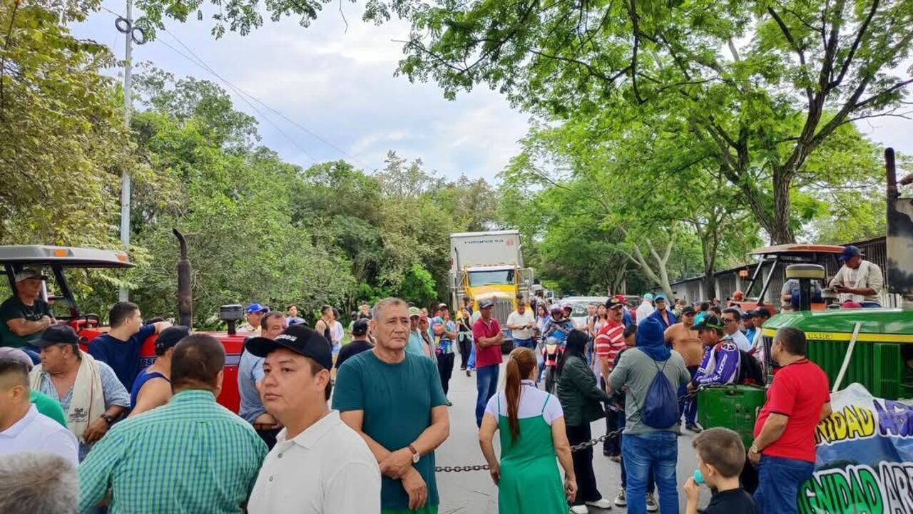 Así es el panorama de la fila de vehículos tras el bloqueo de la vía Campoalegre - Neiva, sector Los Sabanales, debido al paro de arroceros