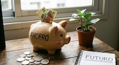 El comienzo de un año es el momento propicio para hacer un presupuesto y organizar las finanzas.