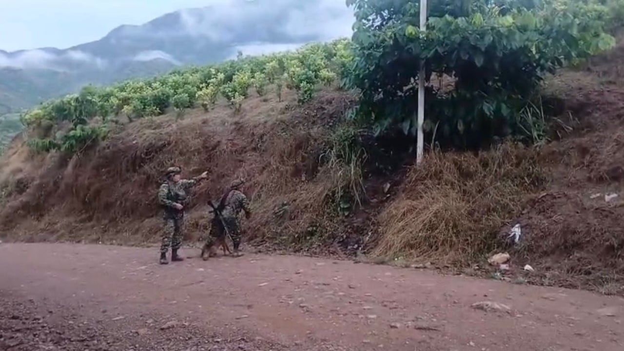 Tropas del Ejército Nacional y unidades de la Policía ubicaron un artefacto explosivo en el corregimiento de El Plateado, Argelia, evitando un atentado en zona de tránsito comunitario.