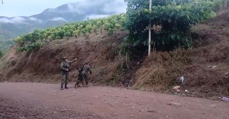 Tropas del Ejército Nacional y unidades de la Policía ubicaron un artefacto explosivo en el corregimiento de El Plateado, Argelia, evitando un atentado en zona de tránsito comunitario.