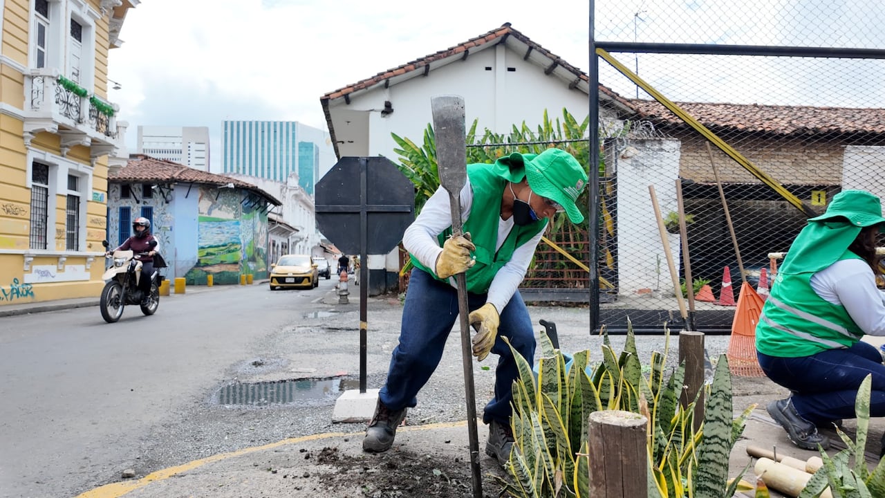 Los trabajos se han desarrollado en comunas y corregimientos de la capital vallecaucana.
