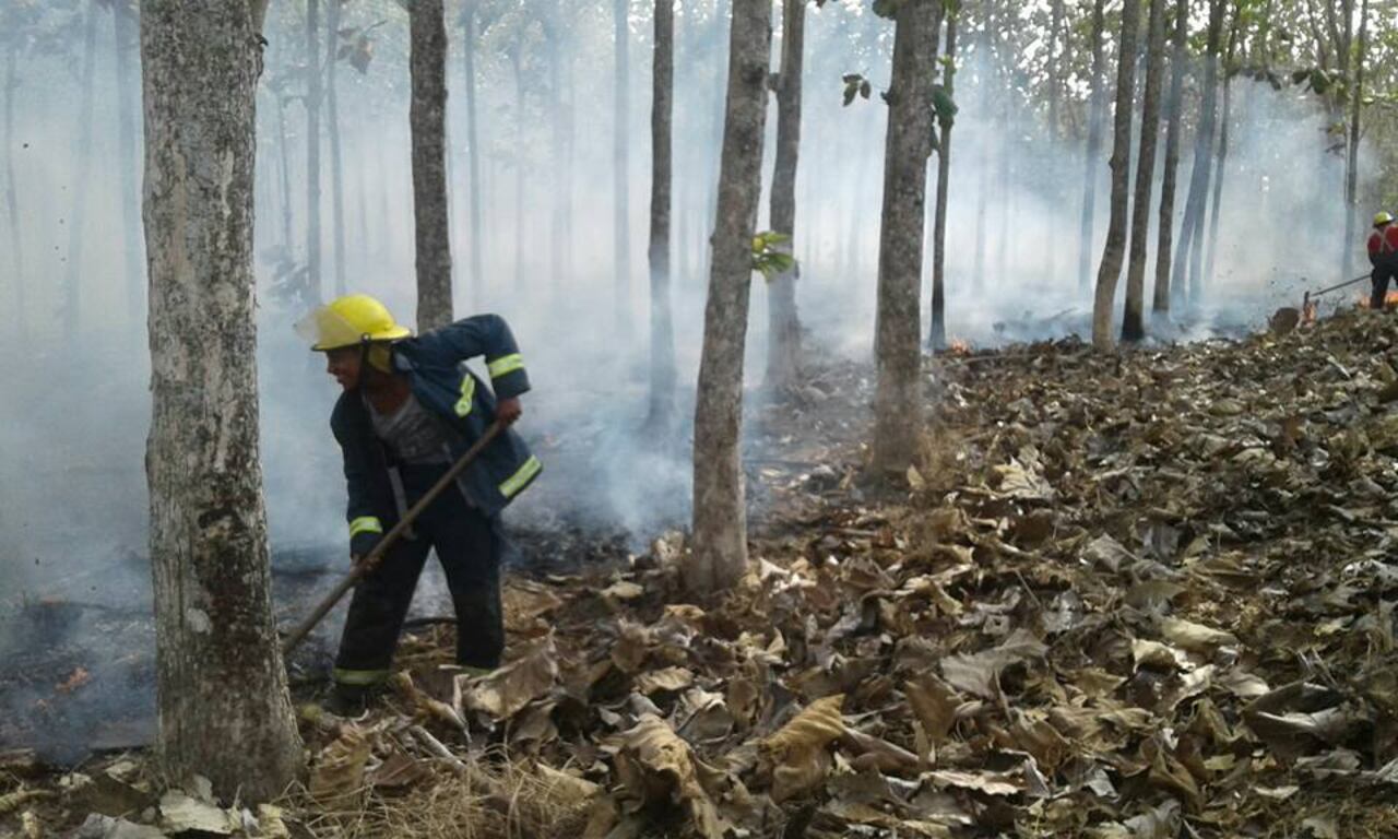 Un fuerte incendio forestal consumió aproximadamente seis hectáreas de bosque el miércoles 29 de enero, cerca del peaje de la vereda Cirilo, en zona rural de Turbo. En la foto los bomberos de este municipio atendiendo esta clase de emergencias en años anteriores.