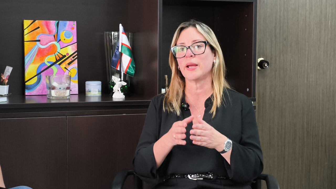 Ana María Martínez, directora del Departamento Administrativo de Contratación Pública de Cali