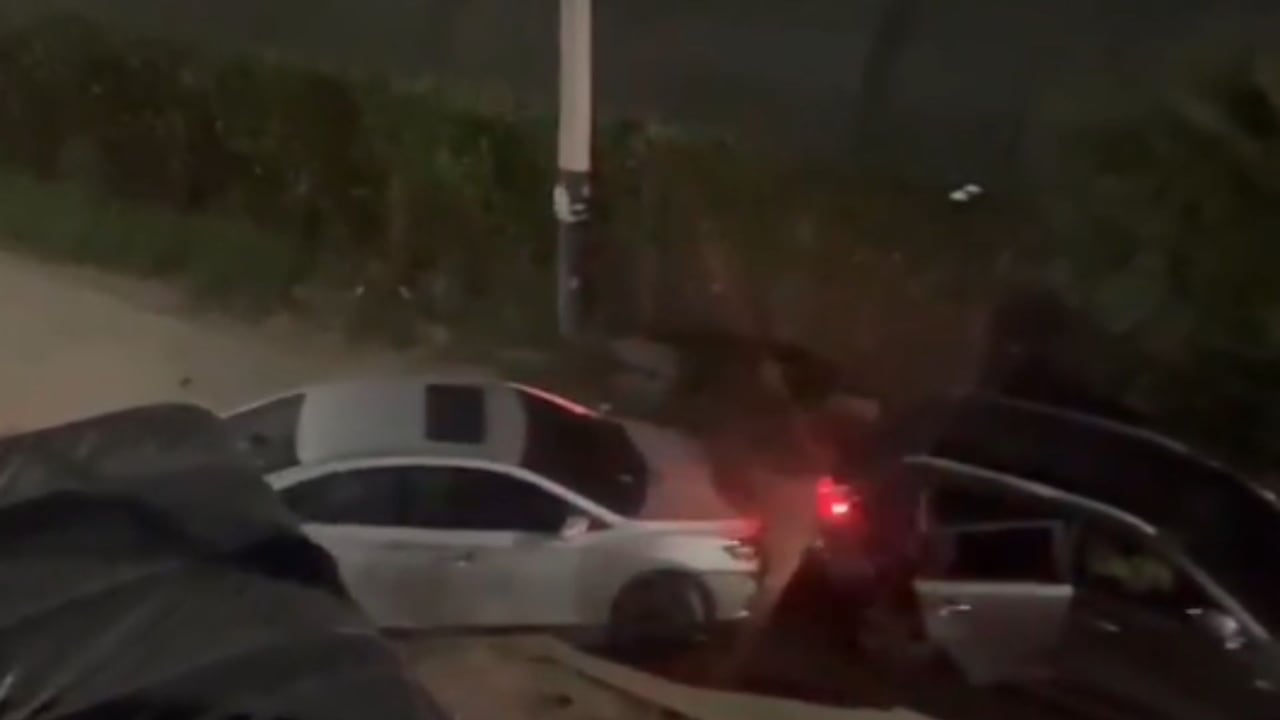 Falso procedimiento en Palmira