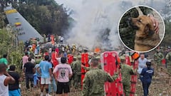 La historia del soldado ha llamado la atención en medio del luto por la tragedia aérea.