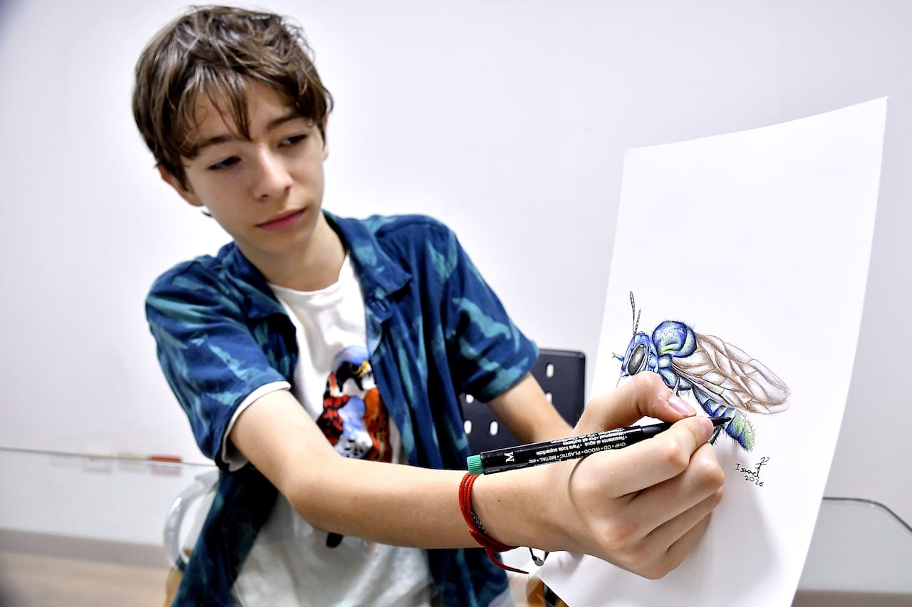 Israel Sánchez, Ilustrador de aves