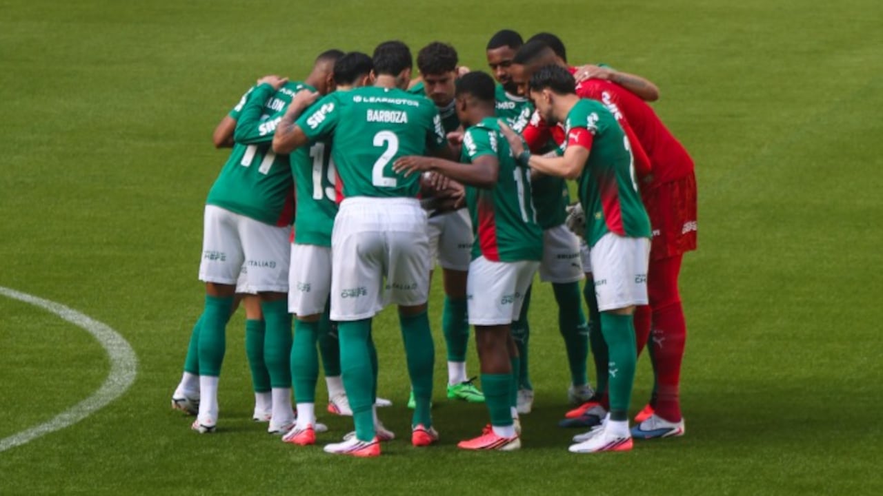Palmeiras