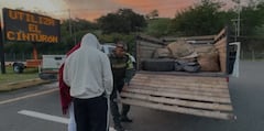 Un hombre de 29 años y una mujer de 47 fueron capturados y dejados a disposición de la Fiscalía URI de Tuluá.