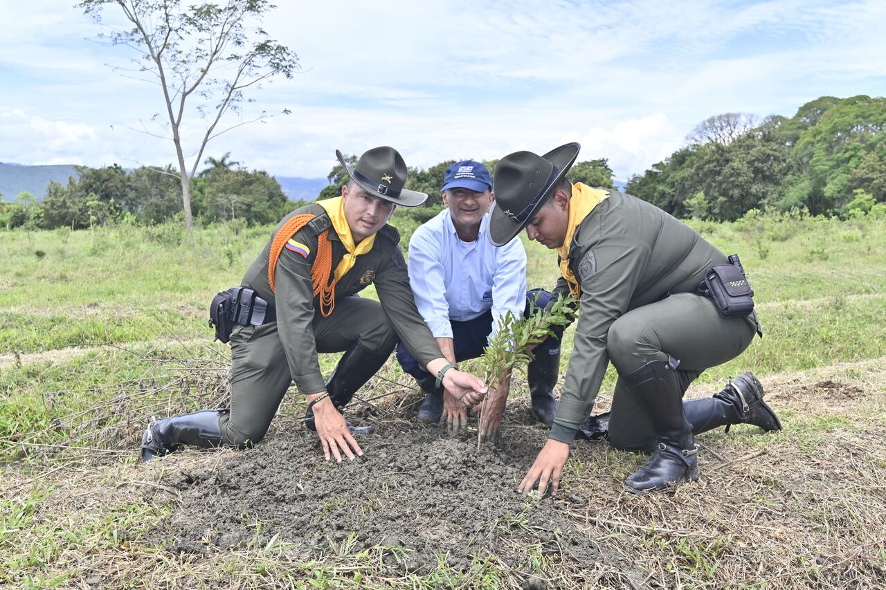 Las actividades de siembra evidencian que la restauración también fortalece los lazos sociales y el compromiso con el territorio.