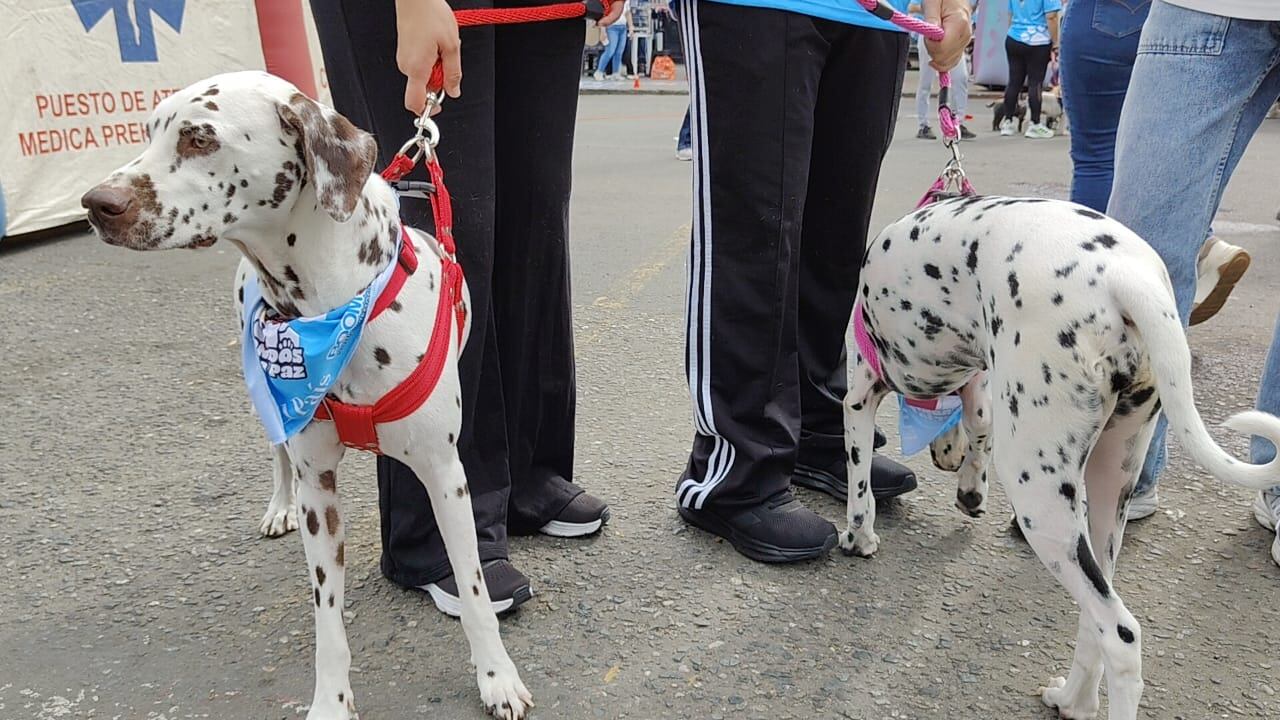 Caminata Ladridos por la Paz