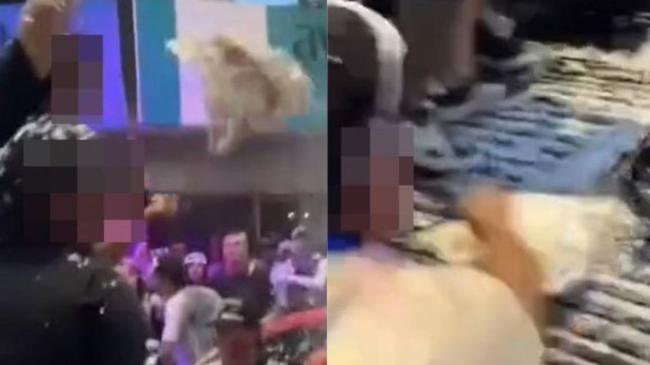 Organizaciones defensoras de los animales fueron las encargadas de denunciar este caso, el cual al parecer se registró durante las fiestas de Pubenza.