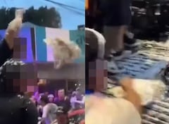 Organizaciones defensoras de los animales fueron las encargadas de denunciar este caso, el cual al parecer se registró durante las fiestas de Pubenza.