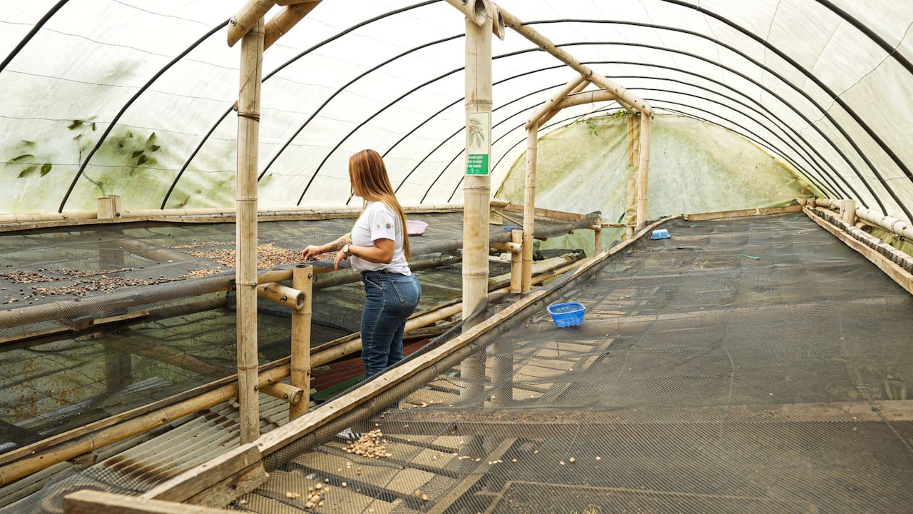 Ubicada a pocos minutos de la ciudad de Cali esta reserva natural trabaja desde hace más de una década por la conservación de los ecosistemas de la zona rural.
