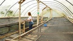 Ubicada a pocos minutos de la ciudad de Cali esta reserva natural trabaja desde hace más de una década por la conservación de los ecosistemas de la zona rural.