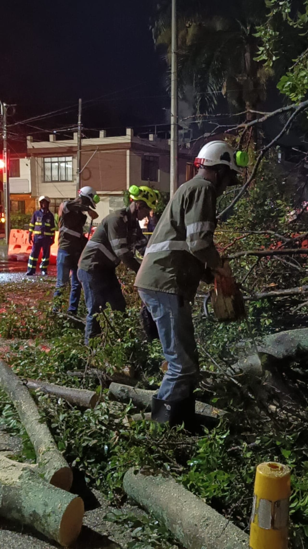 Durante este jueves, un enorme árbol cayó sobre una vía cerca al centro comercial Único tras las fuertes lluvias ocurridas.