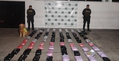 Toro ha logrado descubrir el estupefaciente.