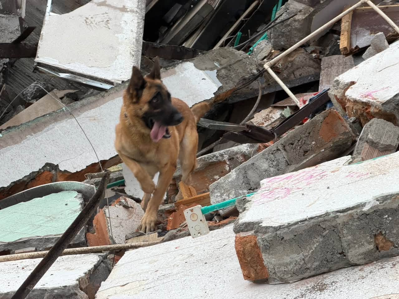 Una parte de la edificación del Hotel Metro, en Pereira, terminó cediendo en las últimas horas, luego de los graves daños estructurales que habría sufrido durante el terremoto del pasado 10 de agosto de 2026.