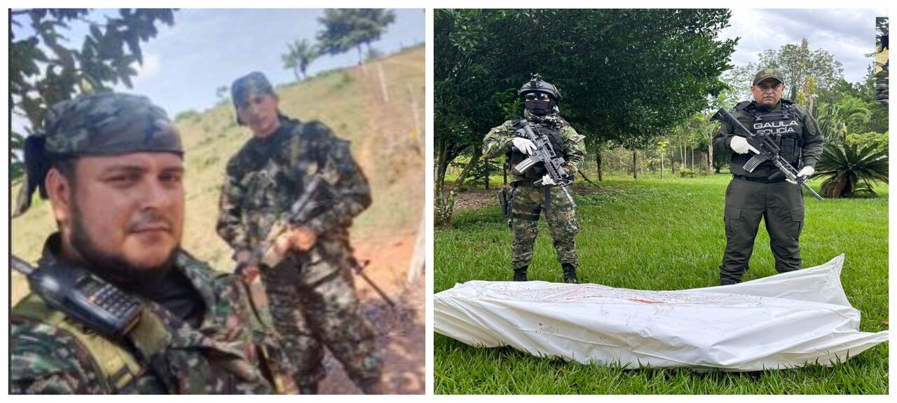 Alias Mogosín, de la Segunda Marquetalia, abatido en Puerto Lleras, Meta.