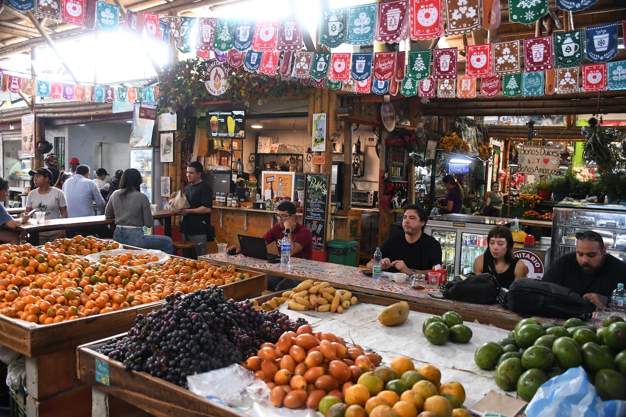 Proyecto renovación galeria Alameda