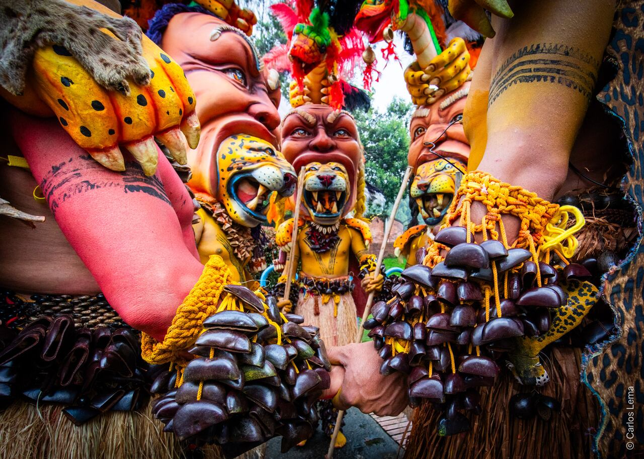 Bienal Internacional de Danza de Cali.