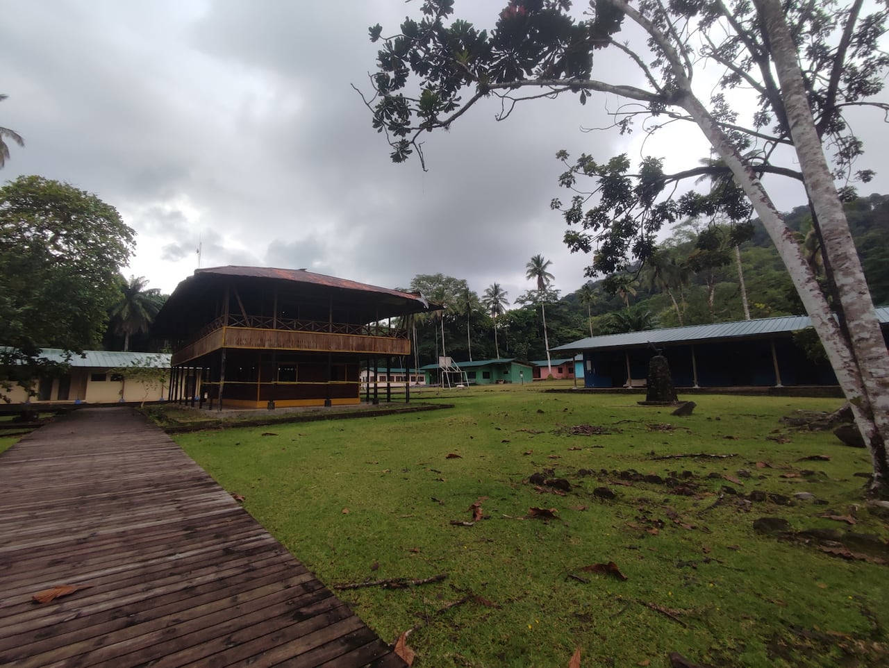 La Isla Gorgona, ubicada en el Pacífico colombiano (Cauca), es un Parque Nacional Natural famoso por ser un "laboratorio vivo" de biodiversidad, que pasó de ser una temida prisión de máxima seguridad (1959-1984) a un paraíso ecoturístico. Destaca por sus arrecifes de coral, avistamiento de ballenas jorobadas (julio-octubre), buceo, ruinas selváticas y especies endémicas.