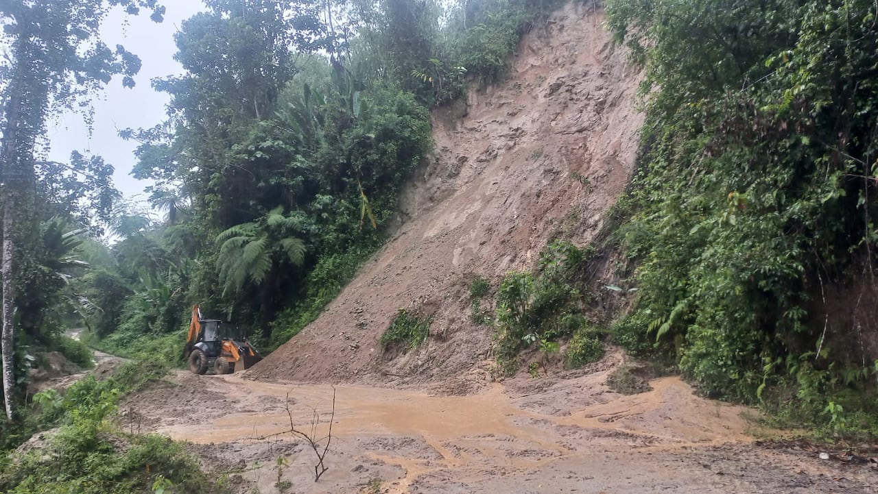 Las autoridades pidieron reportar cualquier situación de riesgo a las líneas de emergencia.