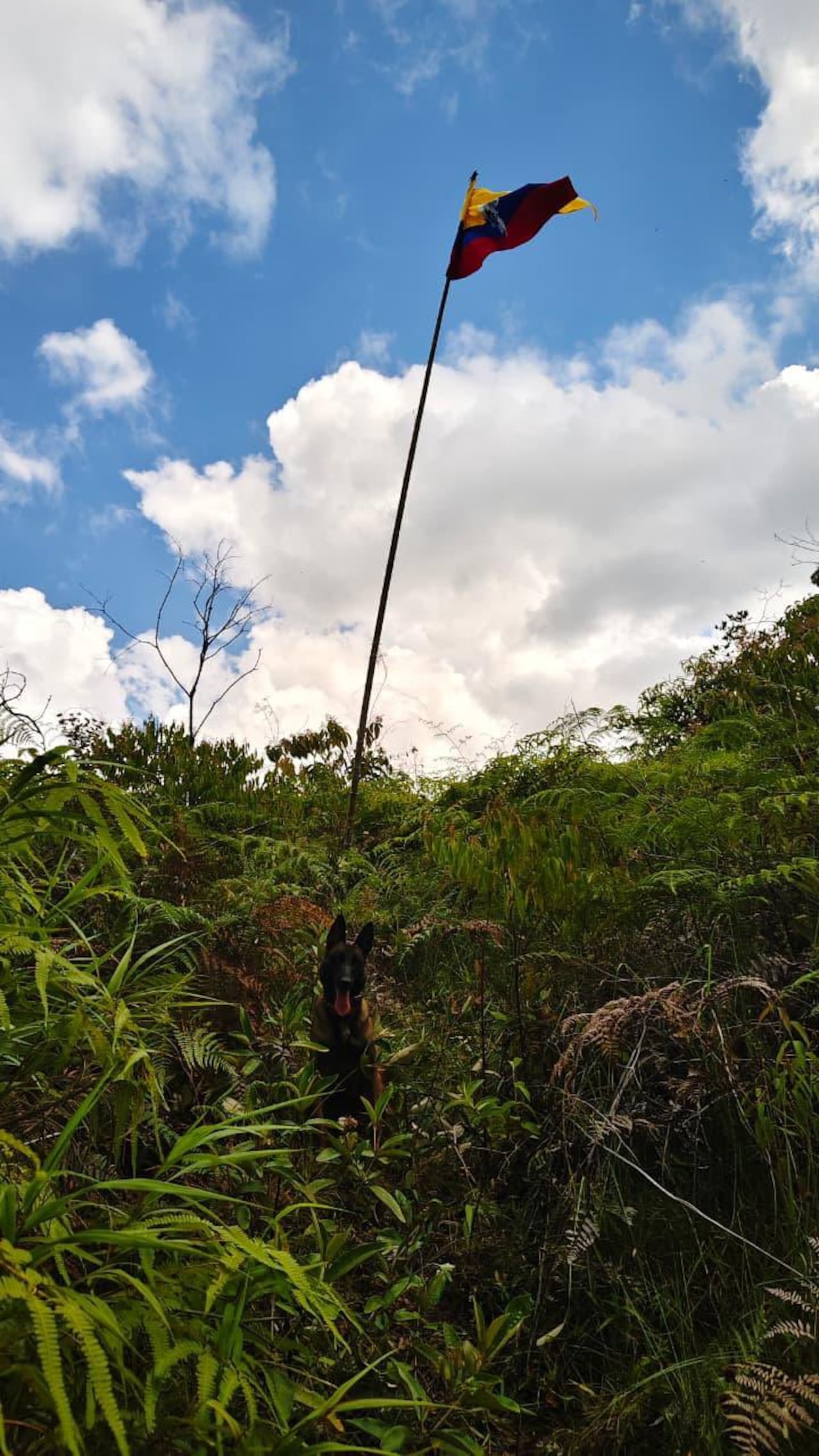 Bandera alusiva a las disidencias de las Farc en San Vicente, Jamundí.