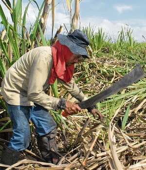 Según trabajadores, en el 2021 se importaron 214.000 toneladas de azúcar.