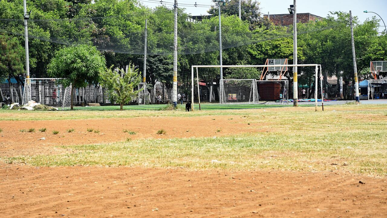 Cali tiene déficit de zonas verdes y árboles por cada habitante, lo que ha hecho que las islas de calor se intensifiquen en algunas zonas de la ciudad.Fotos Wirman Rios / El Pais.