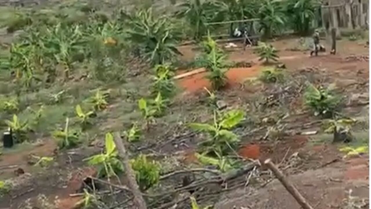 Cada parte dentro de este conflicto espera que el Gobierno solucione este conflicto. Mientras tanto, se reporta que en la Hacienda Japio ya hay fuerza pública a la espera de una orden para continuar con el desalojo.