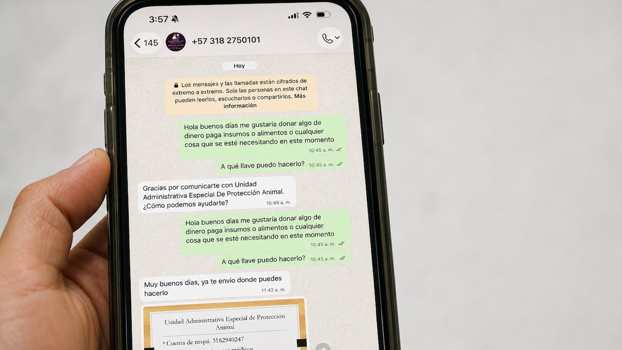 Esta es el chat que reveló el concejal Roberto Ortiz en la plenaria del Concejo del martes 25 de agosto.