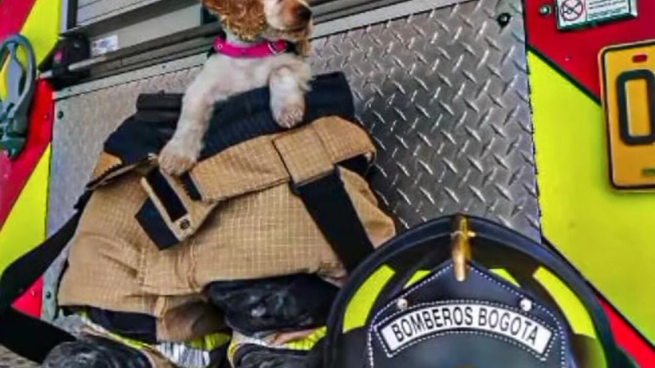 Mara llegó a ser parte de los bomberos con pocos meses de nacida.