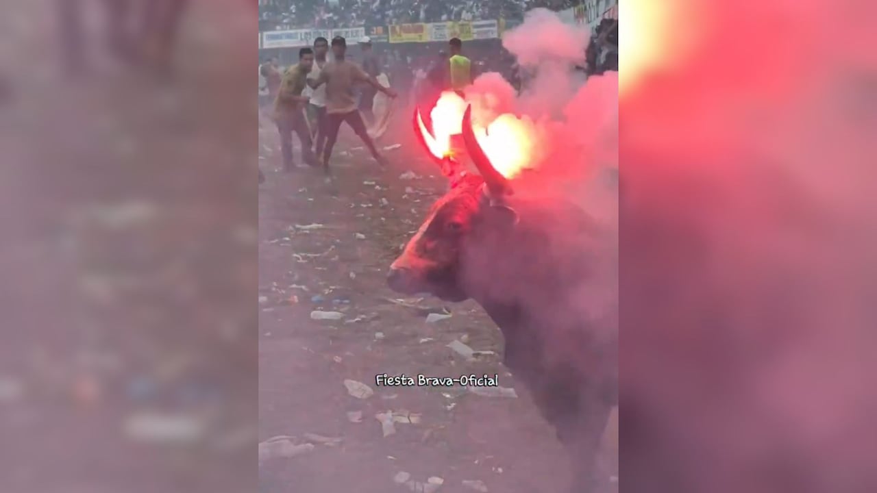 Maltrato animal en corraleja en Sabanalarga.
