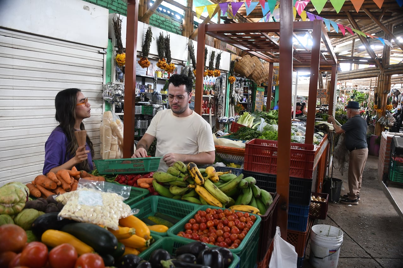 Proyecto renovación galeria Alameda