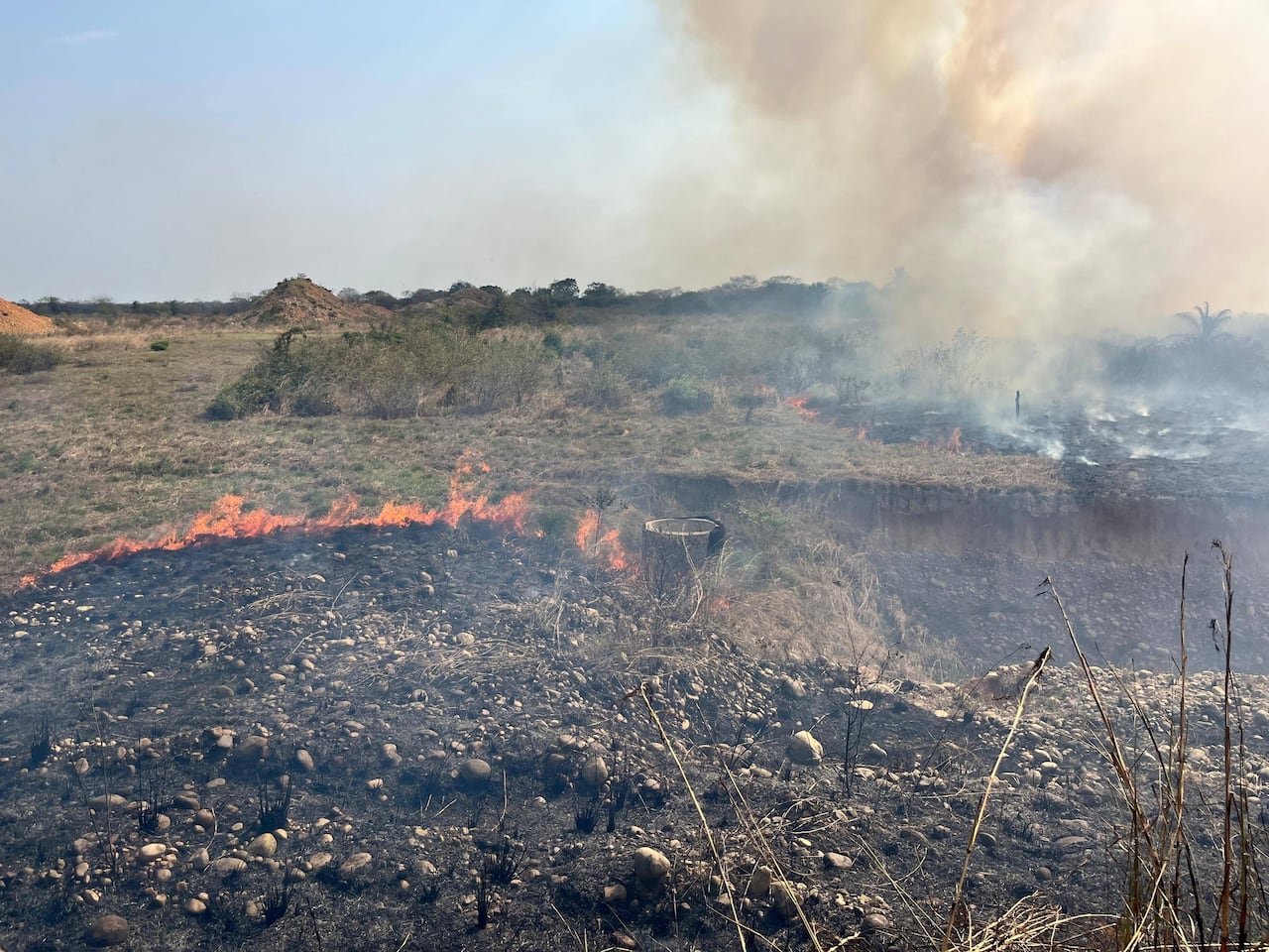 Los organismos de socorro trabajan con una máquina extintora, sopladora y bombas de espalda para evitar la propagación de las llamas.