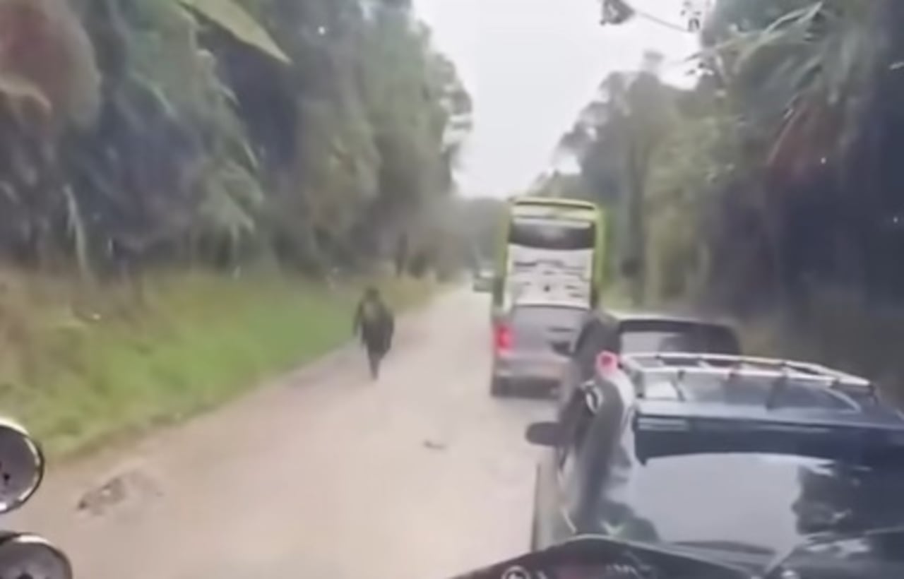 Sujetos armados instalaron un retén ilegal en la vía que comunica al municipio de Isnos, Huila, con el corregimiento de Paletará, zona rural de Puracé, Cauca, generando pánico entre viajeros y conductores.