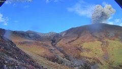 “Entre estos eventos se destaca el de las 04:06 a. m. del 30 de noviembre, correspondiente a una señal de tremor volcánico continuo (sismos por movimiento de fluidos internos) y a una emisión significativa de gases y ceniza, con altura de columna que supera los 500 metros sobre la cima del volcán Puracé”, detalló la UNGRD.