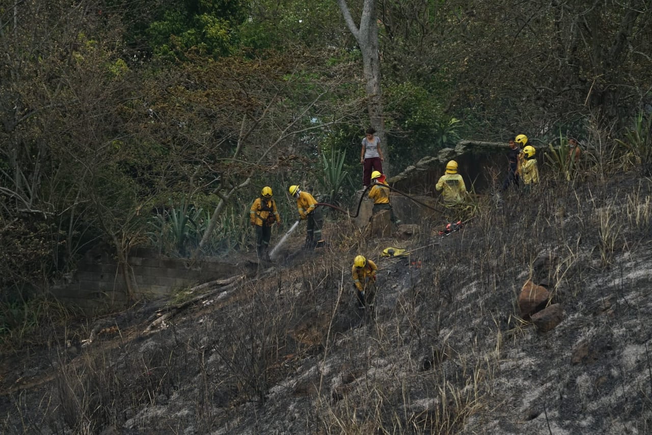 Tres incendios de vegetación fueron reportados este sábado en sectores de la zona de ladera de Cali, entre ellos Cristo Rey, Siloé-San Francisco y Polvorines.