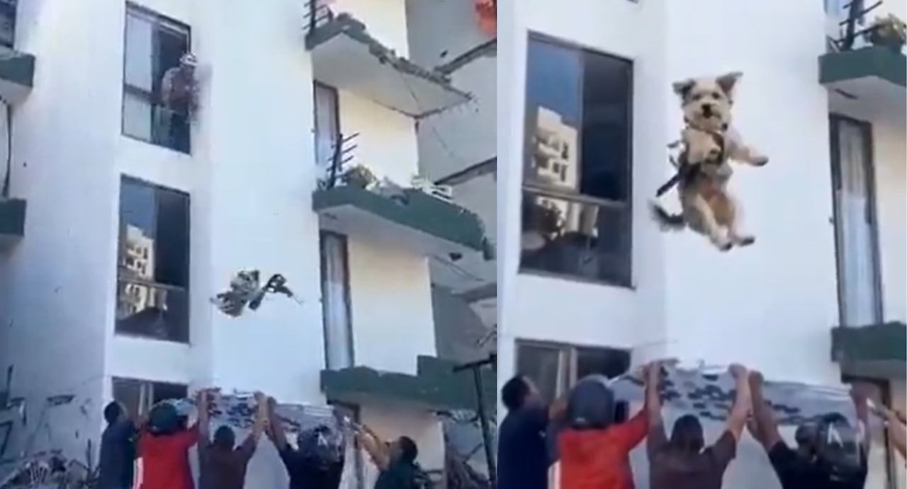 Jhon Freddy Valencia participó en el rescate de un perrito que quedó atrapado en un edificio de Dosquebradas tras el terremoto.