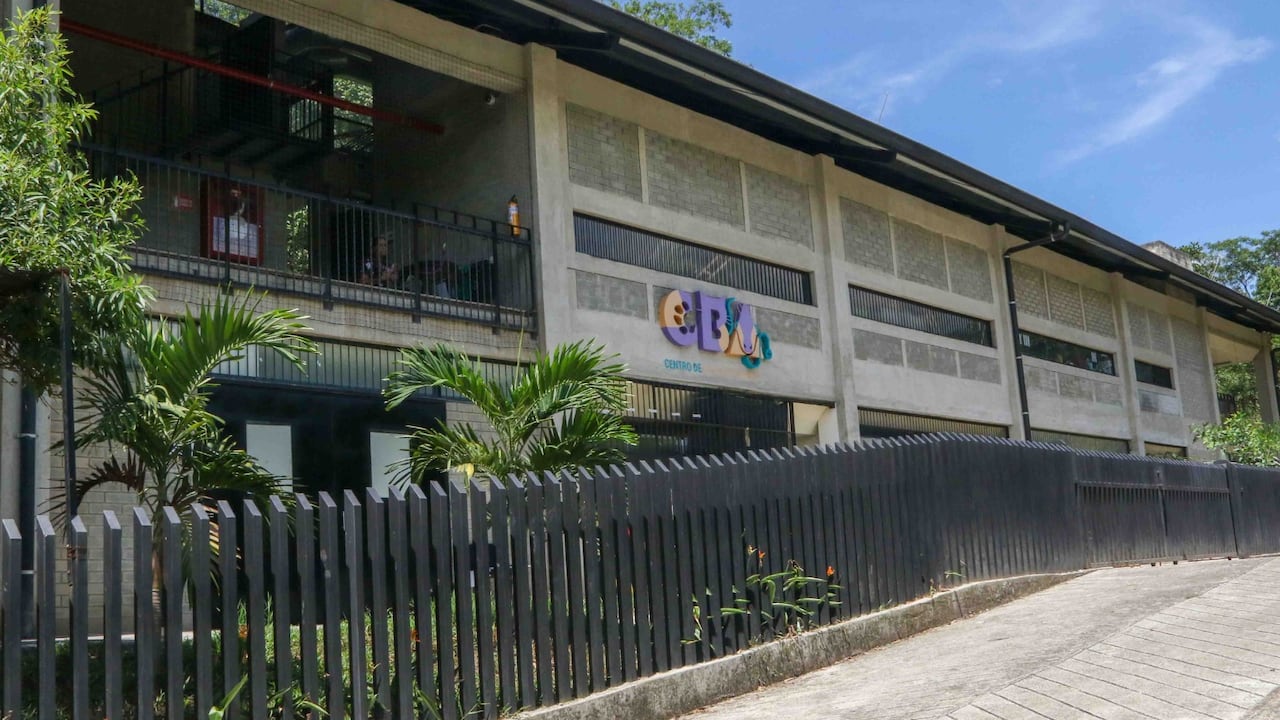 El Centro de Bienestar Animal realiza seguimiento a los casos de moquillo que se han presentado en la ciudad.