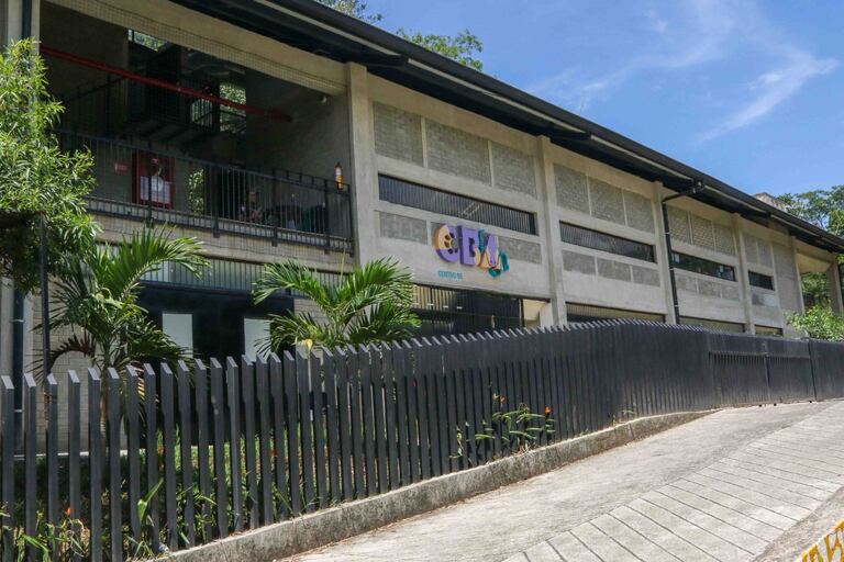 El Centro de Bienestar Animal realiza seguimiento a los casos de moquillo que se han presentado en la ciudad.