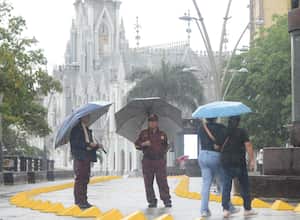 Cali: Lluvias en la ciudad desde tempranas horas de mañana generan caída de árboles en el oeste de Cali
