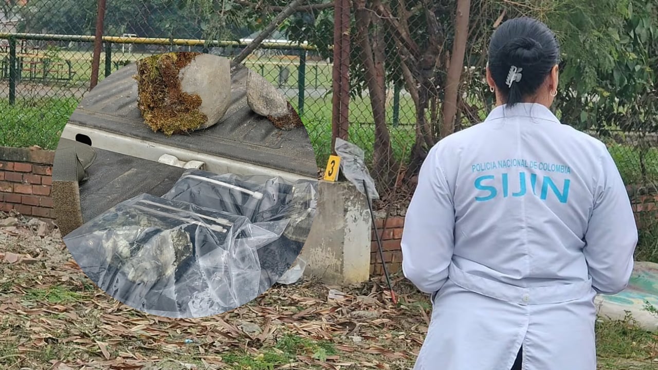 Las cámaras trampa fueron fijadas en bloques de concreto.