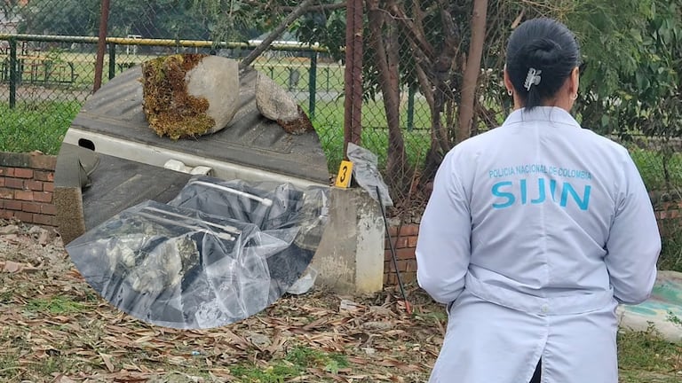 Las cámaras trampa fueron fijadas en bloques de concreto.