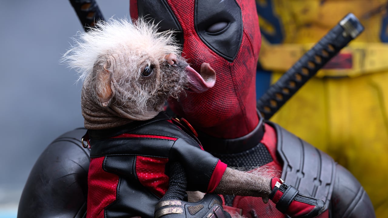 Dogpool y Ryan Reynolds como Deadpool/Wade Wilson.
