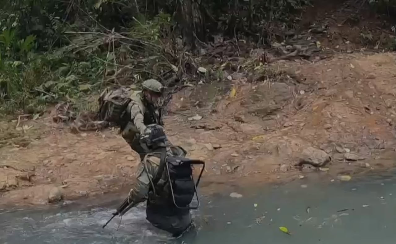El brigadier general William Castaño Ramos, director de Antinarcóticos, destacó que este resultado golpea las finanzas de estructuras criminales y evita que millones de dosis lleguen al mercado ilegal. 🚔🇨🇴